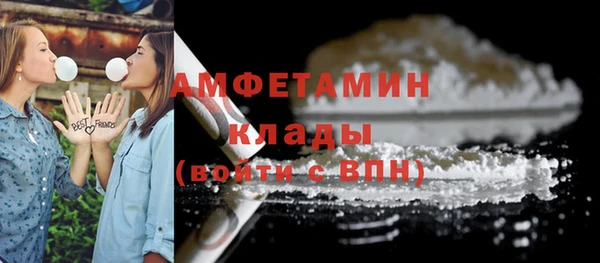 трава Сатка