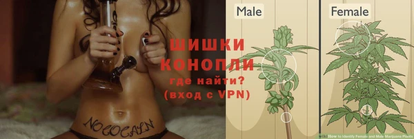 трава Сатка