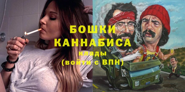 трава Сатка