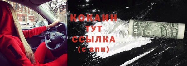 трава Сатка