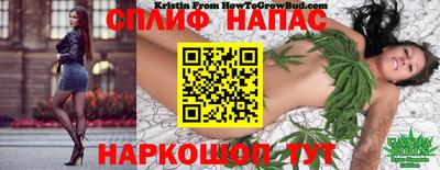 стафф Тулун